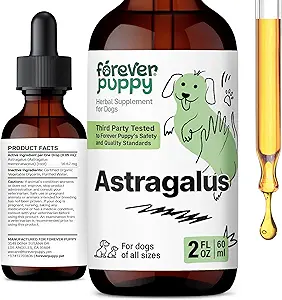 Forever Puppy Astragalus Root Drops til hunde - Astragalus Membranaceus Tincture til hunde 'immunforsvar - Herbal Pet Liquid Kosttilskud til Immunitet Support & Joyful Pet Care - 2 oz