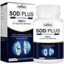 Superoxid Dismutase Supplement 500mg - * Plus med liposomal glutathion, AKG, Green Tea Extract, L- arginin, Lysin, Resveratrol og E-vitamin til immunforsvar, Antioxidant 60 kapsler