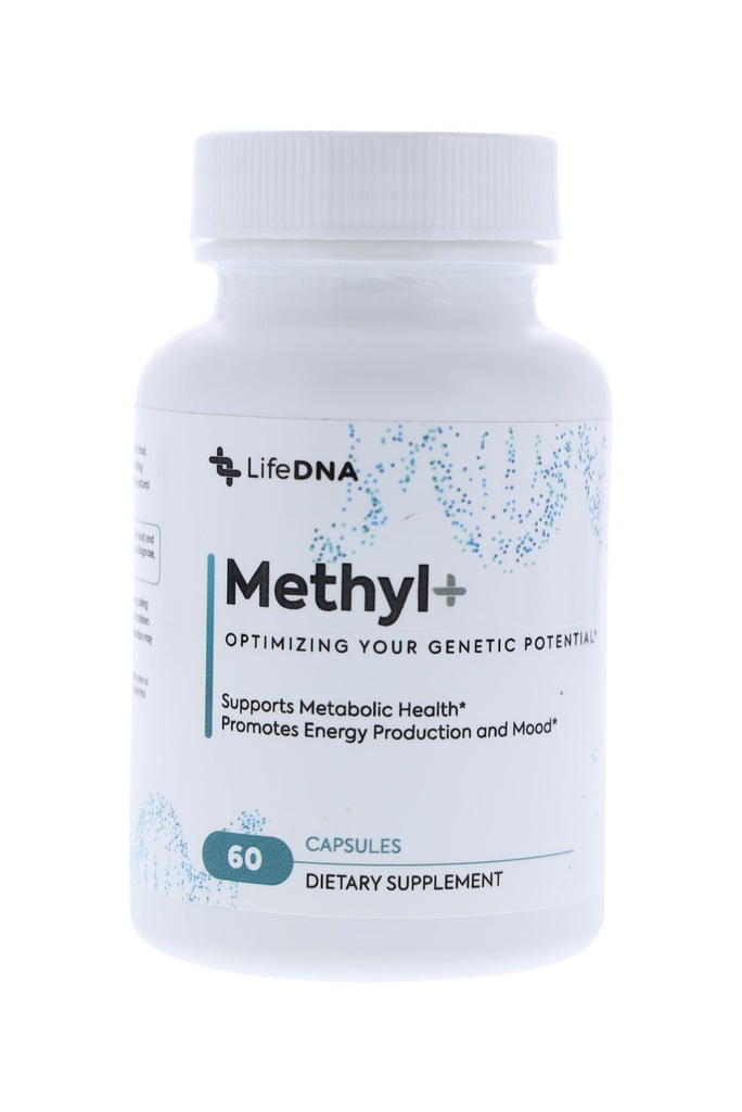 LIFEDNA Methyl + methylfolat - Metyleret folat multivitamin kompleks med TMG optimeret homocystein, hjerne, cardiovaskulær & Neurotransmitter Support