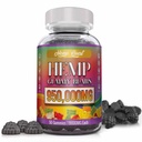 Hamp Gummies neuropati nerve Support High Potency - Natural Health Pure Extra Strength with Hamp Oil Extract Vegan Edibles for voksne Vegan, Lavsukker, Made in USA