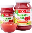 Wildlavet Irish Sea Moss Gel Budding124; Lavet i USA Budding124; Rich in Vitamin & Minerals