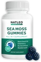 NATLEO USA Sea Moss Gummies med Elderberry, Black Seed Oil & Burdock Root - Vegan, Glutenfri, Non- GMO, 1750mg - Understøtter Daily Wellness - Made in USA (120 Count)