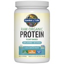 Have Organic Vegan Protein Powder, Plant Based & BCAA, Organic Protein Powder with Probiotics & Enzymes, Non-GMO, Gluten- Free Lactose Free 1.2 LB