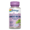 SOLARAY Ginkgo Biloba Extract med Gotu Kola - Ginko Biloba Kapsler til Brain Health Support - Vegan, Lab Verified, 60-dages garanti - 60 Servere, 60 VegCaps (60 VegCaps)