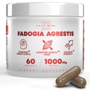 Fadogia Agrestis 1000mg per serveringstillæg - Potent ekstrakt for at øge energi, atletisk ydeevne & muskelmasse - Kosttilskud, Lavet i USA (60 kapsler)