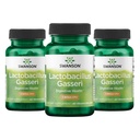 Swanson Lactobacillus Gasseri - Probiotisk tillæg støtte fordøjelsessygdomme med 3 milliarder CFU - Design- Release Satiety & Fat Metabolisme Support - (60 Veggie Kapsler) 3 flasker