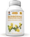 ANDREW LESSMAN Berberine phospholipid Complex 30 kapsler - Barberry Root Extract. Lille let at synke kapsler