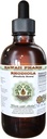 Rhodiola Alkohol- Free Liquid Extract, Organic Rhodiola (Rhodiola Rosea) Tørret Root Glycerit 2 oz