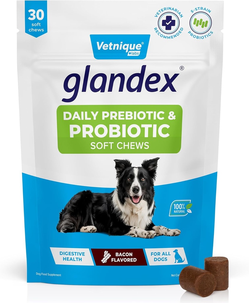 Vetnique Glandex Daglig Probiotika til Hunde med Prebiotika til at understøtte Gut Sundhed med Fiber og fordøjelsesenzymer, Probiotiske Chews eller Powders (30ct Chews, Bacon Chews)