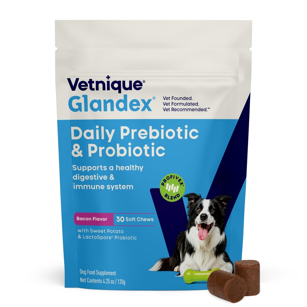 Vetnique Glandex Daglig Probiotika til Hunde med Prebiotika til at understøtte Gut Sundhed med Fiber og fordøjelsesenzymer, Probiotiske Chews eller Powders (30ct Chews, Bacon Chews)