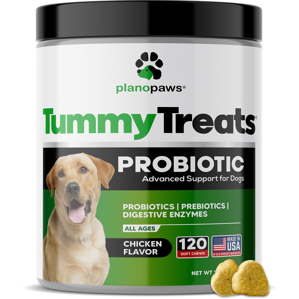 Probiotika til hunde fordøjelsessygdomme - hunde probiotika og fordøjelsesenzymer - Allergi Relief til hunde - Probiotika til hunde Gut sundhed - Puppy Probiotiske Tummy Treates - 120 hunde Probiotiske Chews