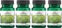 Swanson Oregano Oil 10: 1 Uddrag - Naturligt supplement til fremme af fordøjelsessygdomme og respiratorisk støtte - Understøtter Gastrointestinal System & Urinary Tract Health - (120 Softgels, 150mg Hver) (4 Pack)