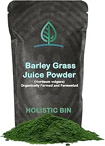 Holistisk Bin Organic Barley Græs Juice Powder - 100% Pure USDA Organic - Gæret med 35 Probiotiske Strops - Ernærings- Dense Green Superfood til Smoothies - Understøtter fordøjelse - 30 Day Supply (50g)
