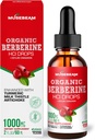 Økologisk berberine HCl 1000mg flydende dråber - med Ceylon kanel gurkemælk tidsel Artichoke - høj biotilgængelighed supplement for mænd kvinder - Vegansk sukker gratis gluten gratis 2fl. oz (60ml)