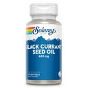 SOLARAY Black Currant Seed Oil 600 mg - Supply Antioxidants, Gamma Linolensyre (GLA), Alpha Linolensyre (ALA) og Linolensyre (LA) - Skin Health Support - 60- Day Garantering, 90 Serv, 90 Softels