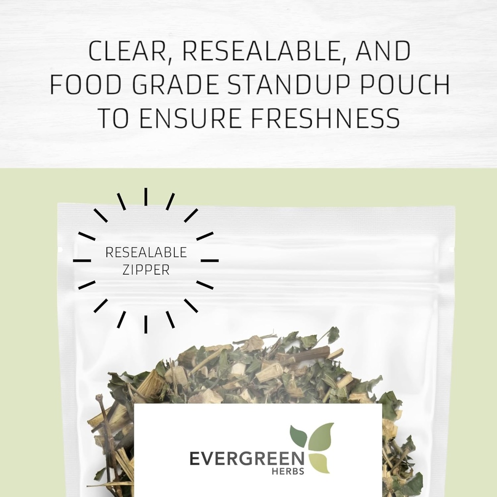 Evergreen Herbs Cuachalalate Herb (Amphipetyglum Adstringens) - Resealable Stand Up Pouch at sikre friskhed! (Tea Bags)