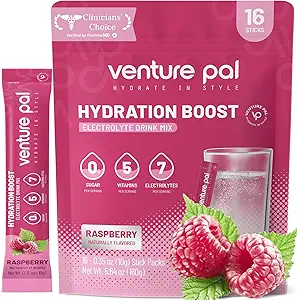 Venture Pal Sugar Free Electrolyte Powder Packets - Flydende Daily IV Drink Mix for Rapid Hydration & Party Recovery