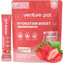 Venture Pal Sugar Free Electrolyte Powder Packets - Flydende Daily IV Drink Mix for Rapid Hydration & Party Recovery