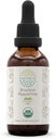 HerbEra Brazilian Peppertree B60 USDA Organic Tincture | Alcohol-Free Extract, High-Potency Herbal Drops | Certified Organic Brazilian Peppertree (Schinus terebinthifolius) Dried Fruit (2 oz)