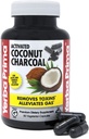 Yerba Prima Aktiveret kokos-kul, 60 kapsler - Natural Detox - Vegetarisk, Vegansk, Gluten fri, Ikke GMO