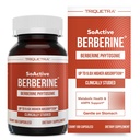 SoActive Berberine 550mg: 9.6X Højere Absorption, Klinisk Studerede, Optimeret Phytosome