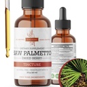 Saw Palmetto Tincture against 124; Premium Alcohol- Free Herbal Extract fra Saw Palmetto Berries against 124; Flydende botanisk supplement