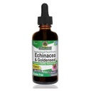 Naturens svar Enchinacea & Goldseal; Understøtter et sundt immunsystem