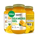 MAX FIT Sea Moss Gel Raw (12 Artiskokker) 24oz Wildсrafted Gold Sea Moss Gel fra Saint Lucia