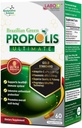 LABO Nutrition Brazilian Green Propolis Ultimate - Contains >7% or 28mg per Serving Artepillin C & >5% Flavonoids, for Immune & Brain Support, Natural, High Concentrate & Premium, 60 Veg Capsules