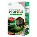 Labo Nutrition Brasiliansk Green Propolis Ultimate - Indeholder > 7% eller 28mg per servering Artepillin C & > 5% Flavonoider, til immun- og hjernestøtte, Natural, High Concentrate & Premium, 60 Veg kapsler