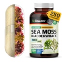BIO KRAUTER® 2-in-1 Sea Moss for Overall Support - Vegan Bladderwrack & Sea Moss Capsules for Women & Men - Natural Сhondrus Сrispus Seaweed Supplement 1600 mg - 125 Days of Supply, Non-GMO