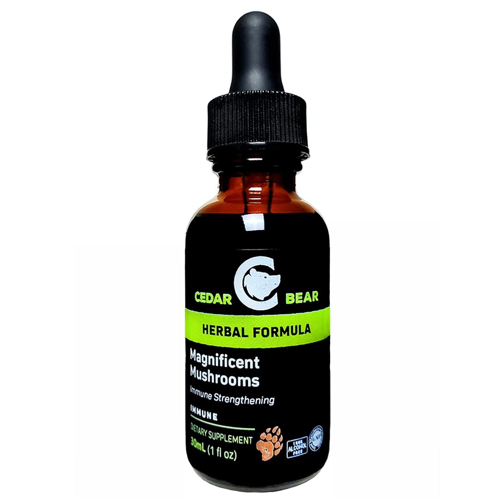 Cedar Bear Magnificent Svampe en flydende urte supplement, der bygger immunsystemet, beskytter, styrker og balances samlede sundhed 1 Fl Oz