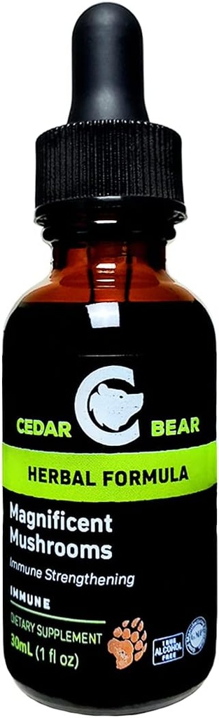 Cedar Bear Magnificent Svampe en flydende urte supplement, der bygger immunsystemet, beskytter, styrker og balances samlede sundhed 1 Fl Oz