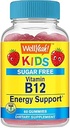 WellYes Kid 's Vitamin B12 1000mcg Sugar Free Gummies