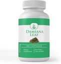 PURE ORIGINALSKE INGREDIENSER Damiana Leaf, 100 kapsler, Altid Pure, Ingen tilsætningsstoffer eller Fillers, Lab Verified