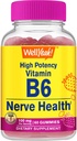 WellYe High Potency Vitamin B6 Gummies - fremmer nerve sundhed, kognitiv funktion, mad regulering, immunforsvar, og hjerte-kar sundhed - Vegan, non-GMO, gluten- fri - 60 Greve