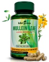KIKI Green Mullein Leaf Extract Kapsler - Vegansk urtetillæg - for Lung Cleanse, Support, Bedre Luftveje, Immunfunktion - 1000mg 45 Servering - 90 Greve