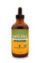 Herb Pharm Certified Organic Gotu Kola Liquid Extract for Muskuloskeletale System Support - 4 Ounce