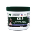 Dogzymes Organic Norwegian Kelp for Kæledyr, en Værdifuld Nutrition Kilde rig på jod til støtte Gland Funktion, især Thyroid (12 Ounce)