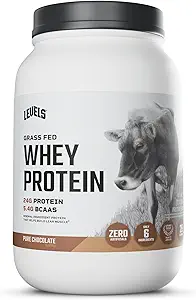 Niveauer Græs Fed Whey Protein Powder, Ingen artificials, 24G Protein, Pure Chocolate, 2LB