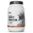 Niveauer Græs Fed Whey Protein Powder, Ingen artificials, 24G Protein, Pure Chocolate, 2LB