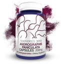Andrographis paniculata Kapslerne er 124; 200mg er 124; 60 Greve er 124; 50% Andrographolides er 124; Understøtter immunfunktion er 124; Understøtter cellular funktion