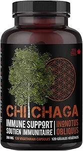 Chaga Mushroom kapsler supplement til immunforsvar - 120 vegetariske kapsler