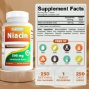 Bedste Naturals Niacin 500 mg 250 tabletter med flushing - også kaldet vitamin B3 (250 greve (pakke med 2))