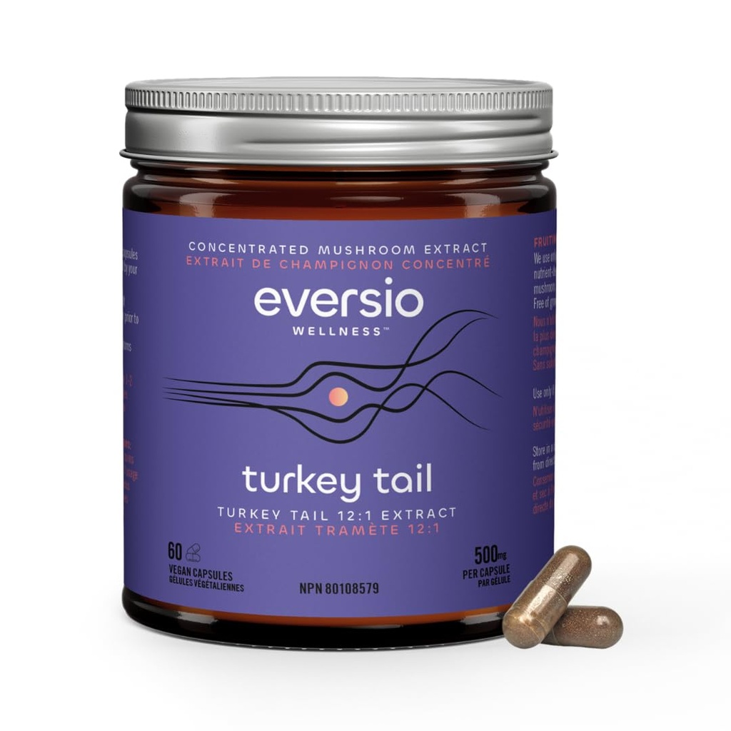 Forsvar nu Organic Turkey Tail Mushroom Supplement - 12: 1 Tyrkiet Tail Uddrag i 60 Vegan kapsler (500mg) - 45% Verified Beta- D- Glucans!
