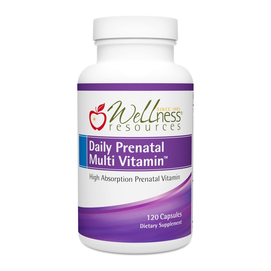 Wellness Resources Daily Prenatal Multi Vitamin - Metyleret Folat Zink Iron Bisglycinate Cholin & Key Nutrients - Natural Prenatal Postnatal Postpartum Vitaminer for kvinder - 120 Caps