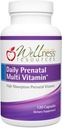 Wellness Resources Daily Prenatal Multi Vitamin - Metyleret Folat Zink Iron Bisglycinate Cholin & Key Nutrients - Natural Prenatal Postnatal Postpartum Vitaminer for kvinder - 120 Caps