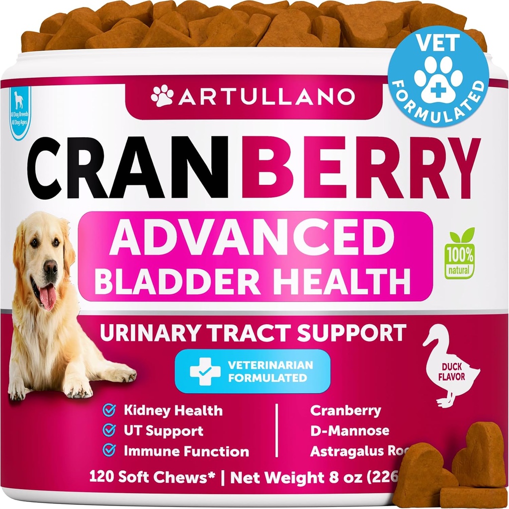 Hund UTI Behandling - Cranberry Supplement & Bstige Control for Hunde - Urinary Tract Inkontinens Pill, Bstige Stones - UTI Medicine Treats - 120 Soft Chews for Nyre Support med Fish Oil