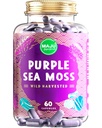 MAJUS 's kraftfulde lilla hav mos kapsler (60 ct), Extra-Strength Purple Minerals, Chondris Crispus, stærkere end Gel, Sammenlign med økologiske irske Seamoss Capsule, Wild Harared Powder Pills