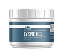 Earthborn Elements Lysin HCL Powder (1,5 LB), Altid Pure, Ingen Fyldere eller Tilsætningsstoffer